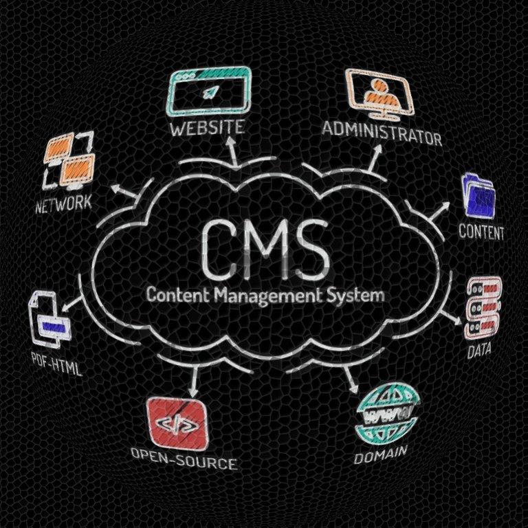 The Importance of Content Management Systems (CMS) - Cover Image